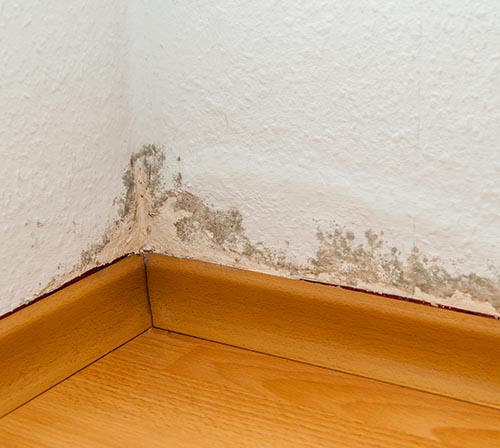 Rising Damp
